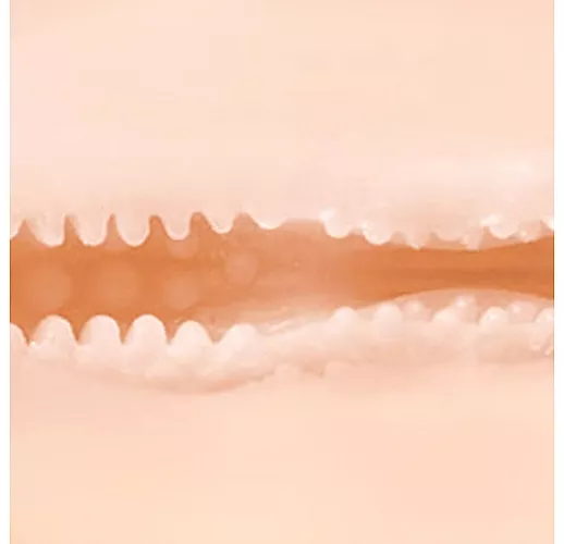 Мастурбатор-анимешка Tokyo Style "Ame-Skinny" в тубе, с внутренней рельефной поверхностью