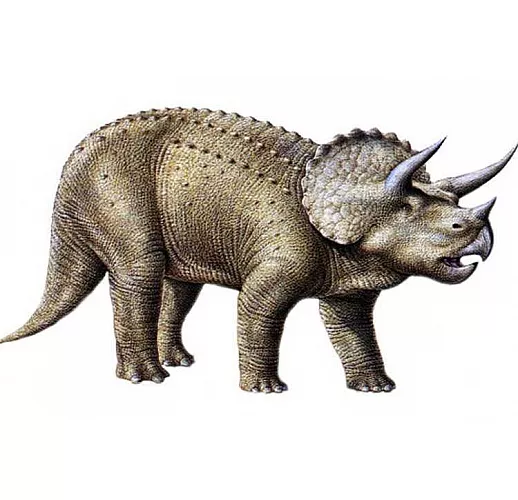 Фаллоимитатор Ceratops - 21,5 см.