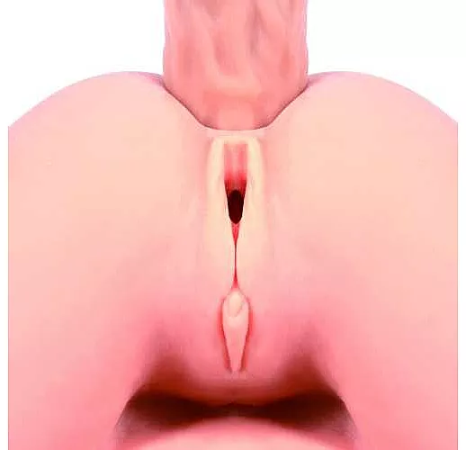 Мастурбатор в виде девушки Valentina Auto с вибрацией