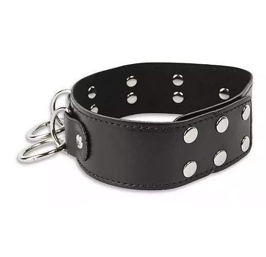 Брутальный ошейник с кольцами
