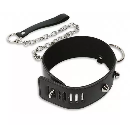 Дизайнерский ошейник с поводком