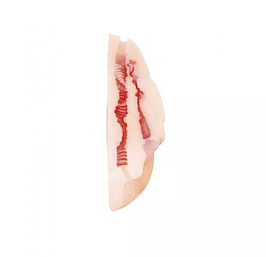 Вагина с вибропулей Satisfaction Dream Girl