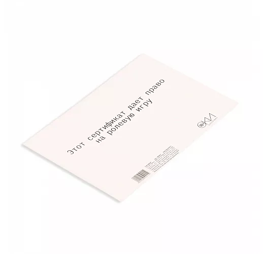 Сертификат на «Ролевую игру» - 1 шт.