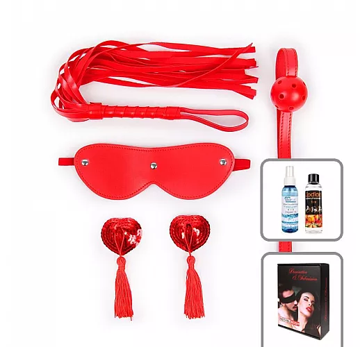 Универсальный красный набор БДСМ Notabu "D&S Versatile": плеть, кляп, маска и пэститы